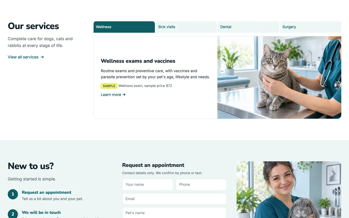 Bellwether: Our services