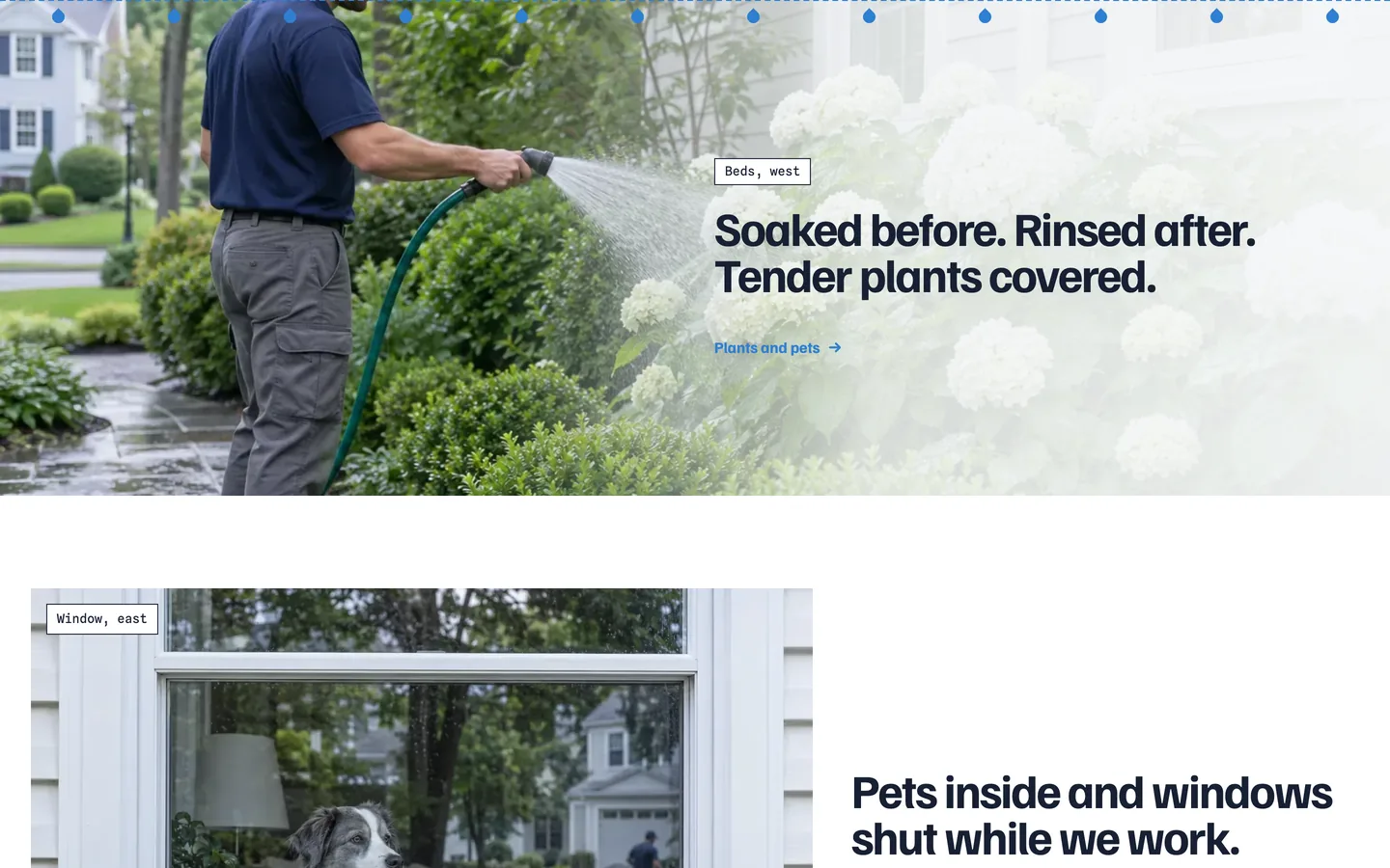 Fourside: Tender plants covered