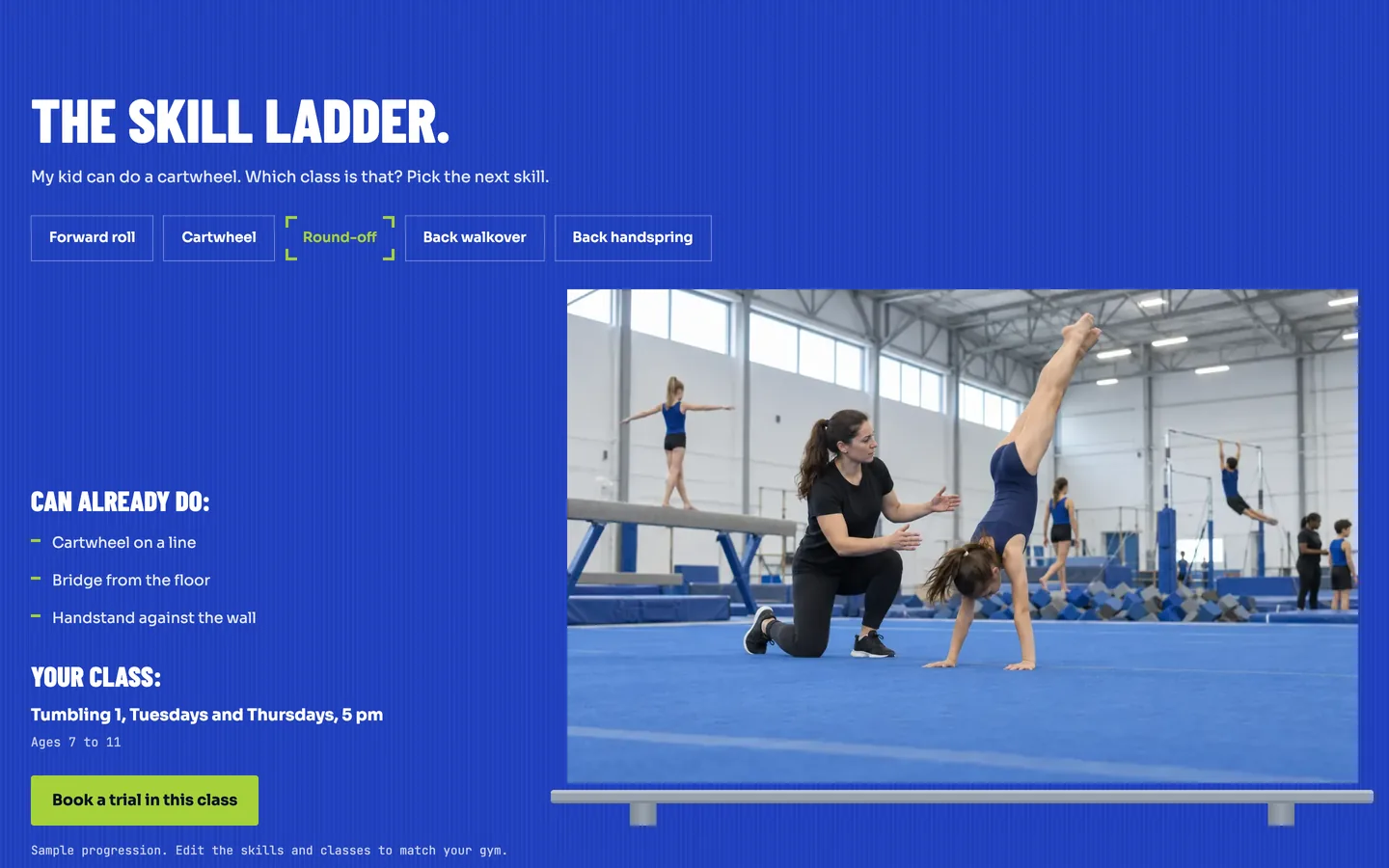 Handspring: The skill ladder