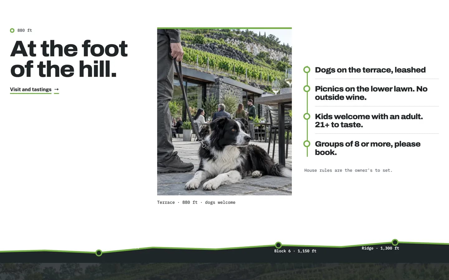 Horizon: At the foot of the hill