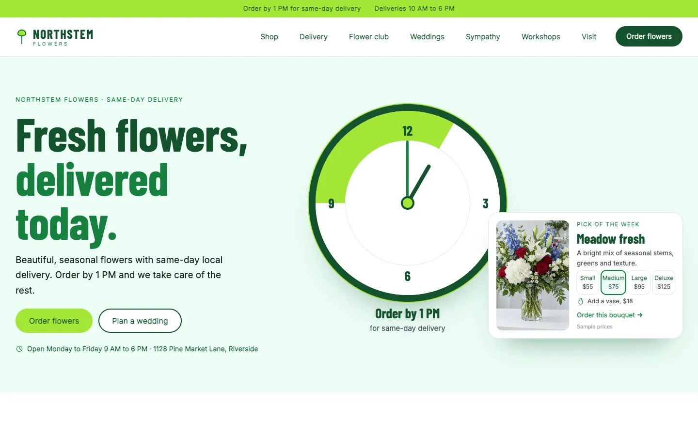 Northstem website template homepage