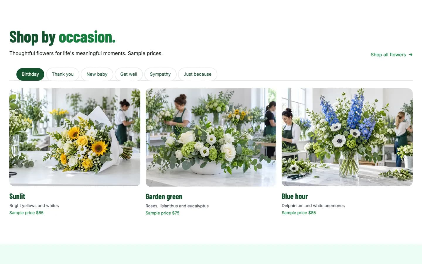 Northstem: Shop by occasion