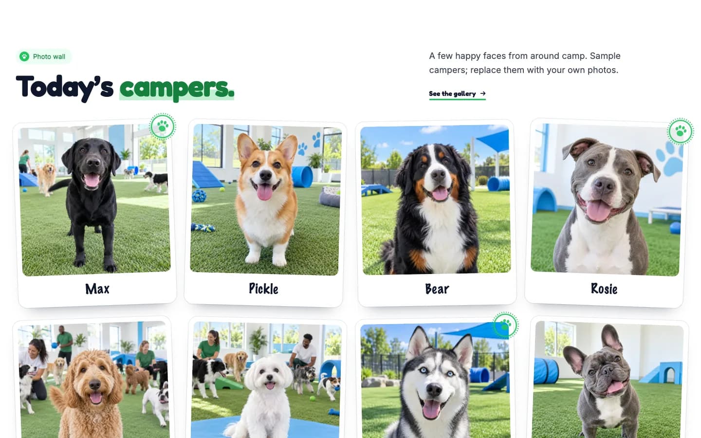 Pawprint: Today's campers / photo wall