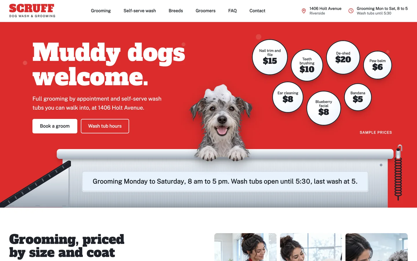 Scruff website template homepage