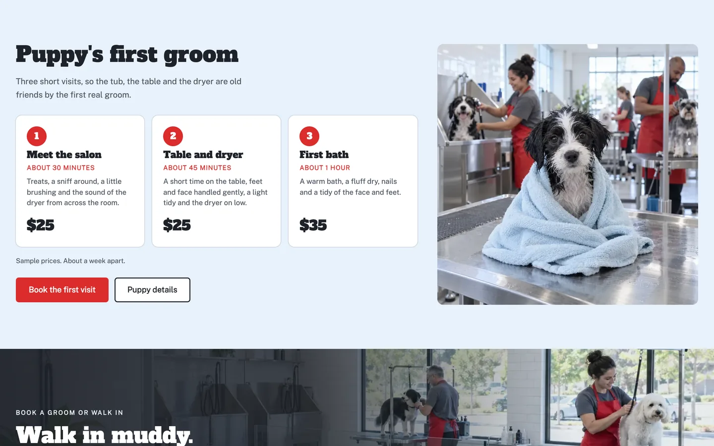 Scruff: Puppy's first groom