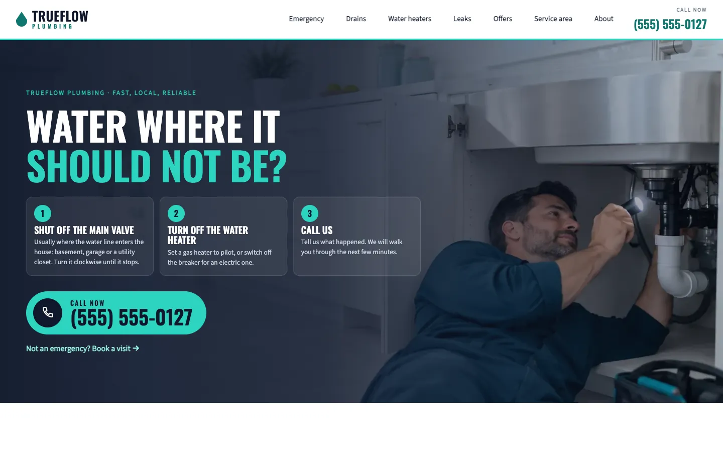 Trueflow: Homepage