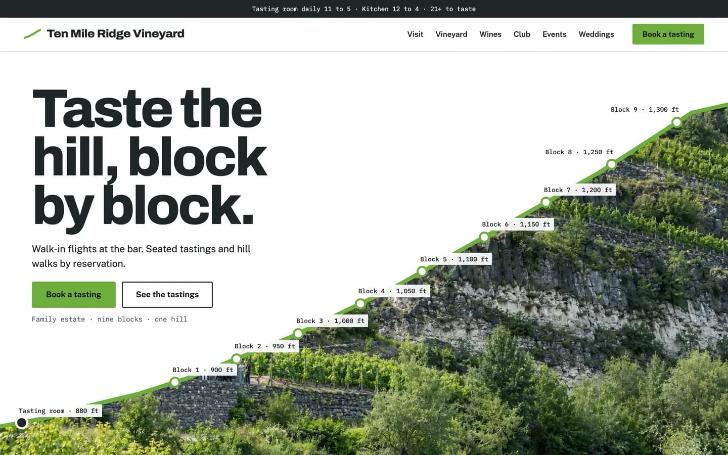 Horizon website template homepage
