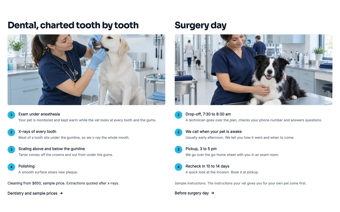 Lumen: Surgery day